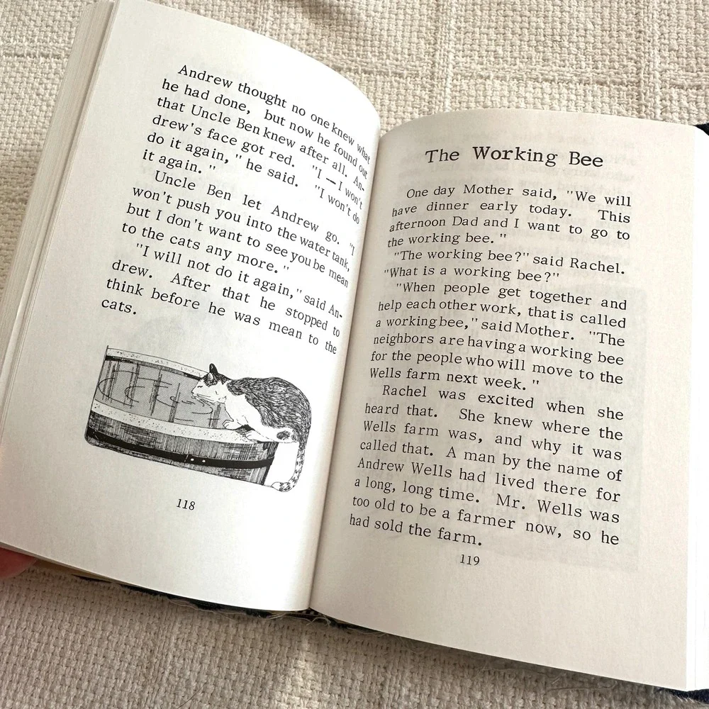 VTG Busy Times Pathway Reading Series Grade 2 Textbook Denim Bird‎ Cover